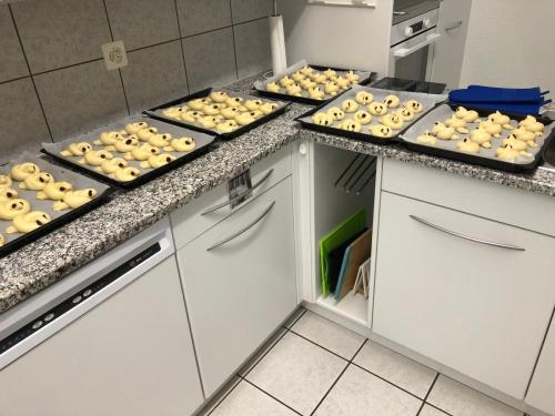 2023_Tübelibacken
